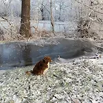 Apartamento Am Muehlgraben Thale