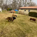 Am Muehlgraben Apartamento *