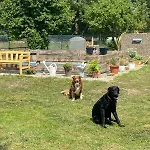 Apartamento Am Muehlgraben