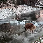 Am Muehlgraben Thale