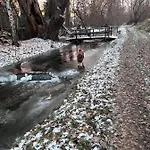 Apartamento Am Muehlgraben Thale