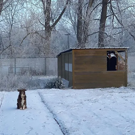 Lägenhet Am Muehlgraben *