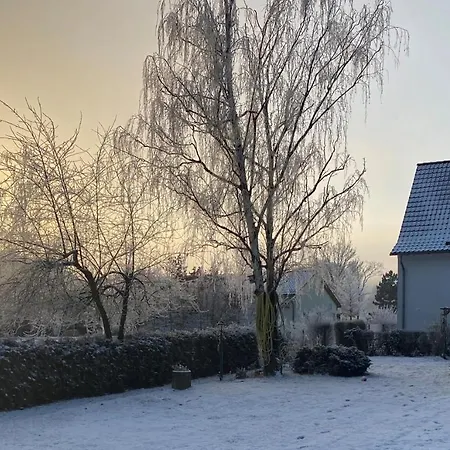 Am Muehlgraben Apartament