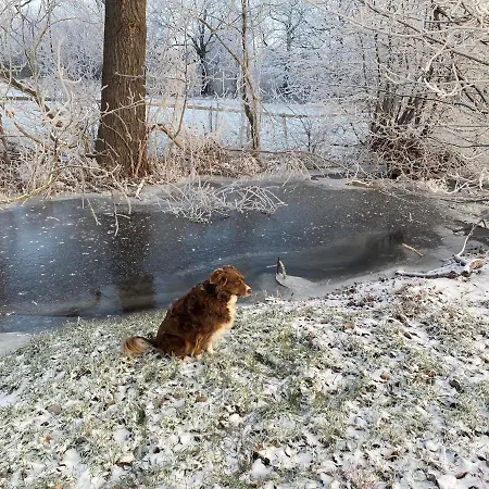 Lägenhet Am Muehlgraben Thale