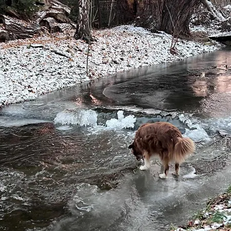 Am Muehlgraben Thale