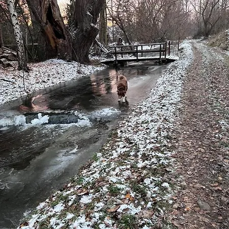 Lägenhet Am Muehlgraben Thale