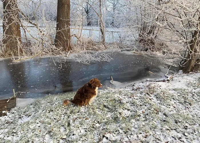 Appartement Am Muehlgraben Thale