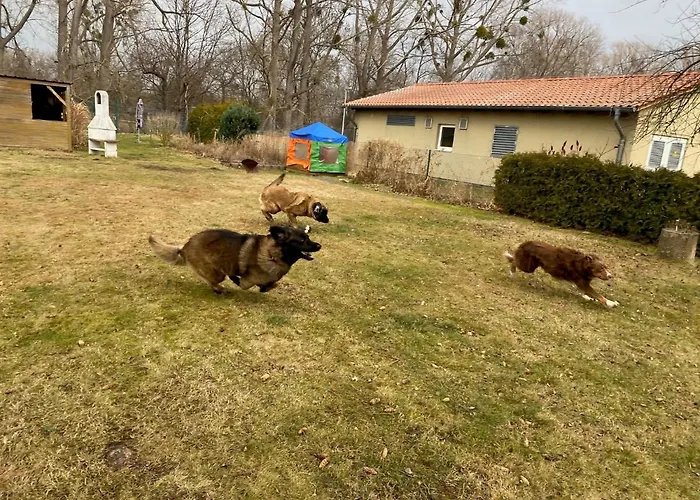 Am Muehlgraben Lägenhet *