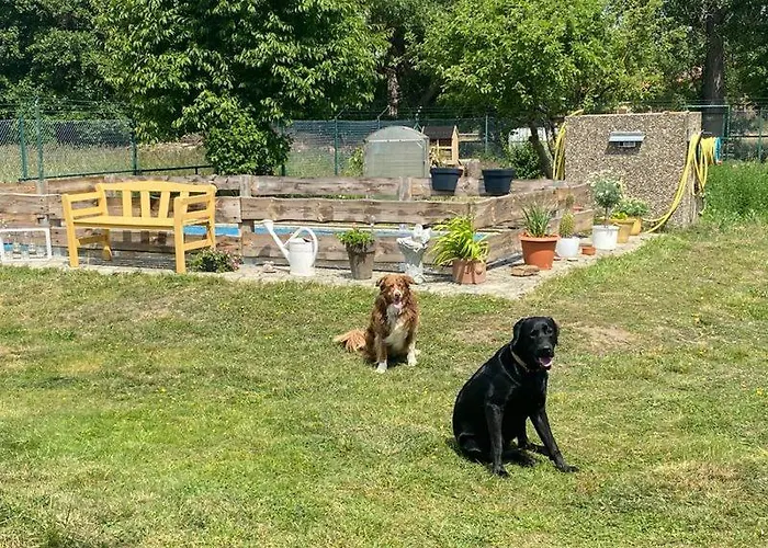 Lägenhet Am Muehlgraben