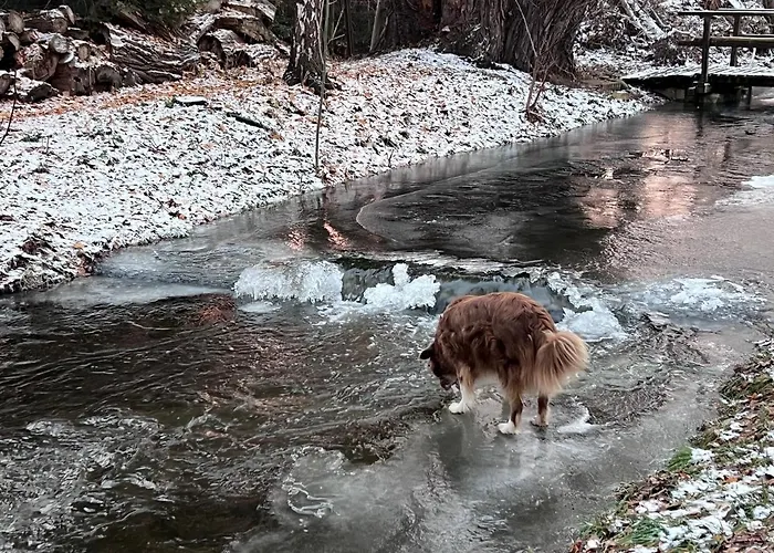 Am Muehlgraben ثال