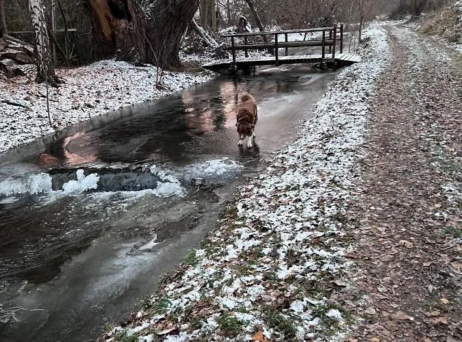 Appartement Am Muehlgraben Thale